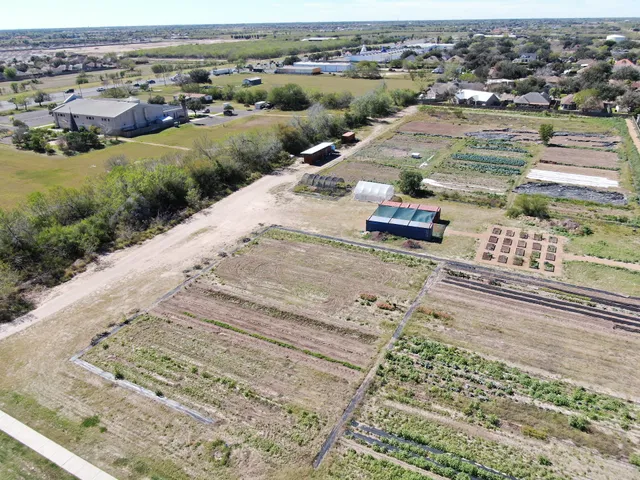 The Hub of Prosperity