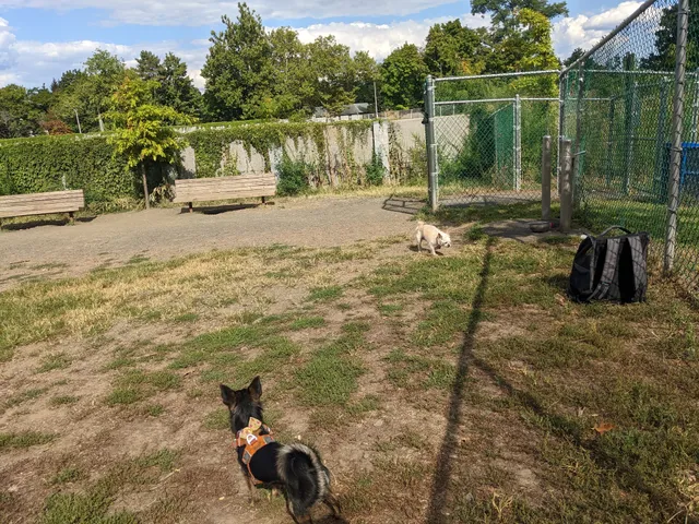 Elizabeth Place Dog Park