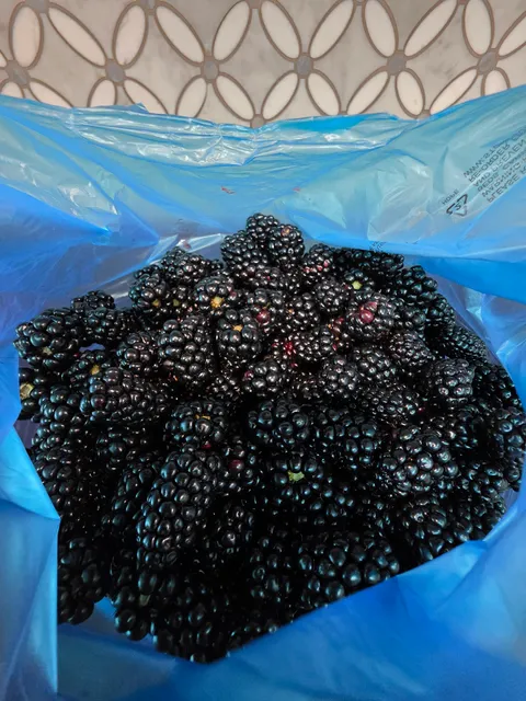 knoxville berry farm