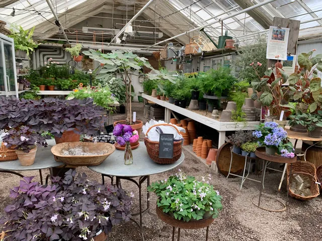 Rosendals Trädgårdskafé