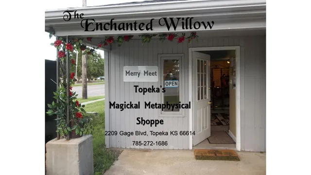 The Enchanted Willow