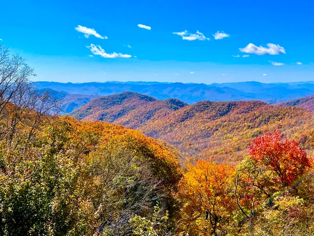 Bunches Bald Overlook