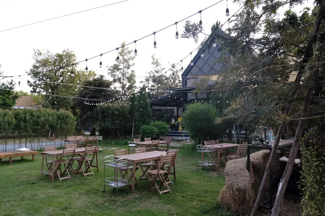 Moonlight Campsite Resort & Cafe