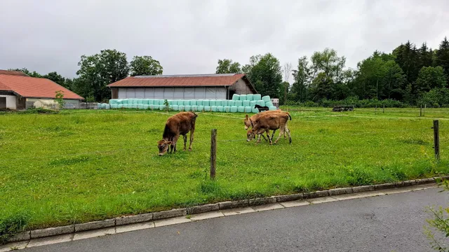 Ferienwohnungen Flake