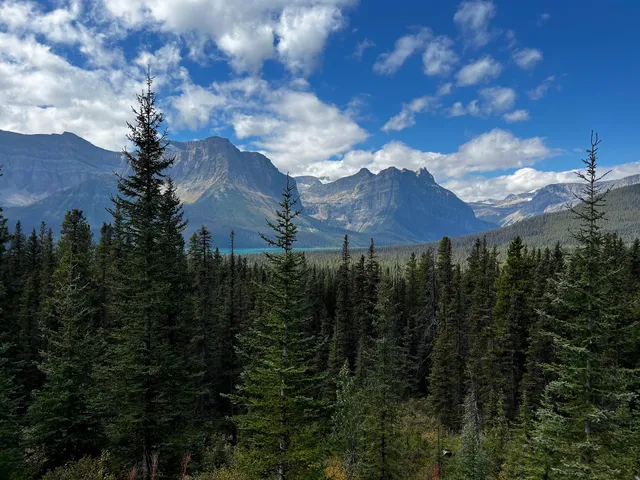 Hector Lake Viewpoint