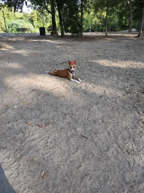 University Park Dog Park