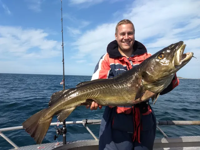 Hitra Turistservice AS