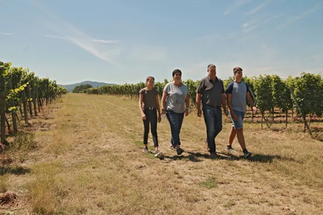 Weingut Familie Rapp
