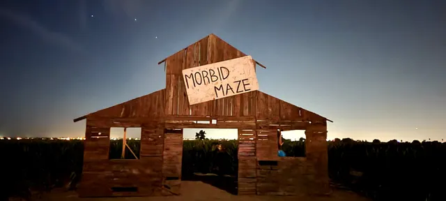 Dave's Pumpkin Patch