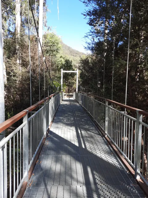 Neds Gully Campground