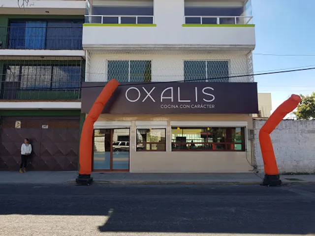 Oxalis Cocina con Carácter