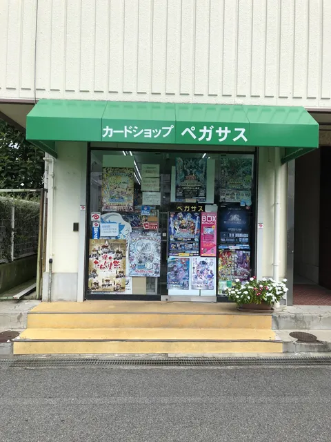Card Shop Pegasus