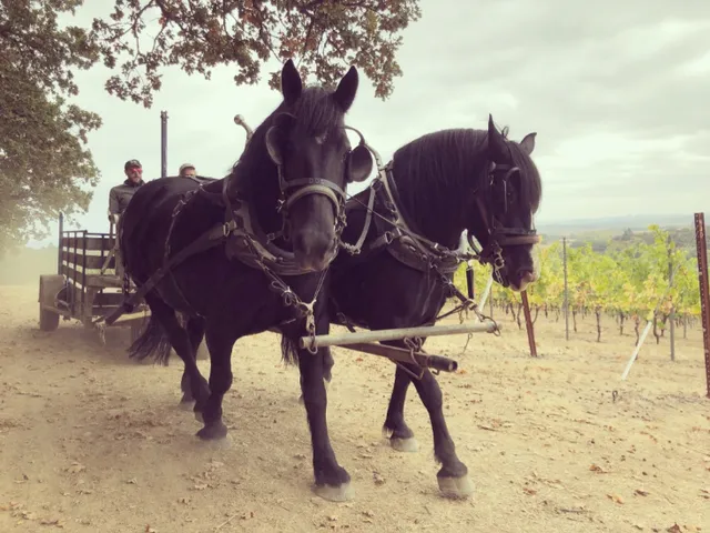 Illahe Vineyards and Winery