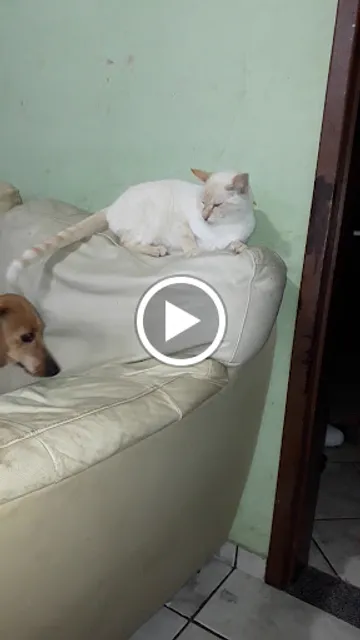 Padaria Nossa senhora aparecida