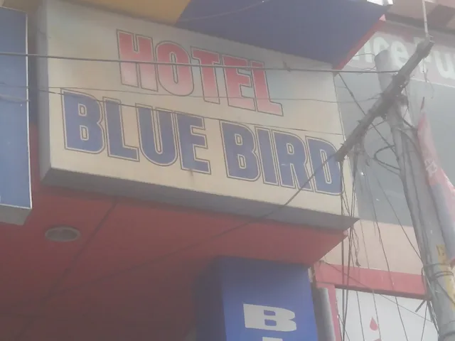Collection O Hotel Blue Bird