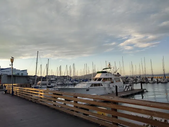 Pier 33