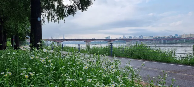 Seoul Forest Hangang Bike Road Park