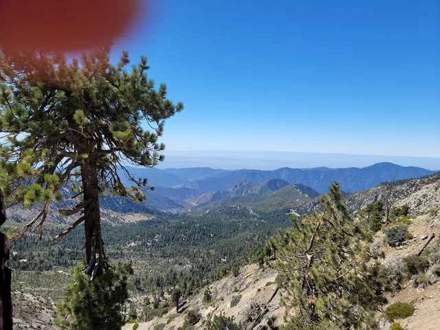 Little Jimmy Trail Camp