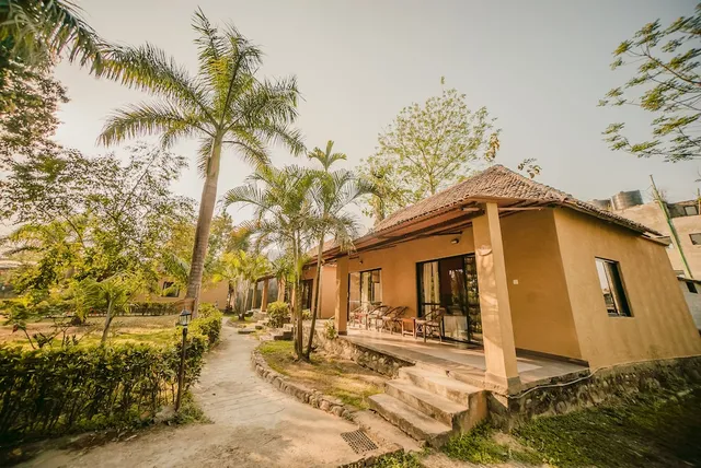 Into The Wild Eco Resort