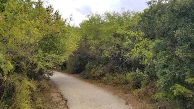 Library Loop Trail System