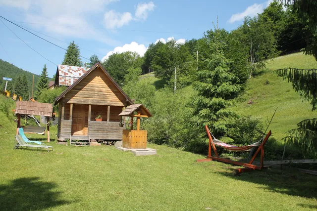 Pensiunea Arnica Montana