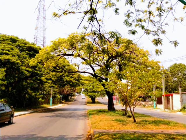 Restaurante Doña Reyna