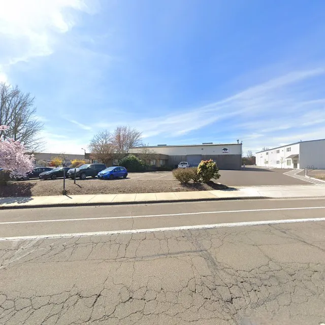 Silver Leaf Electronics