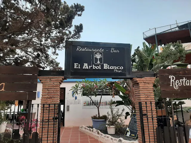 El árbol blanco playa