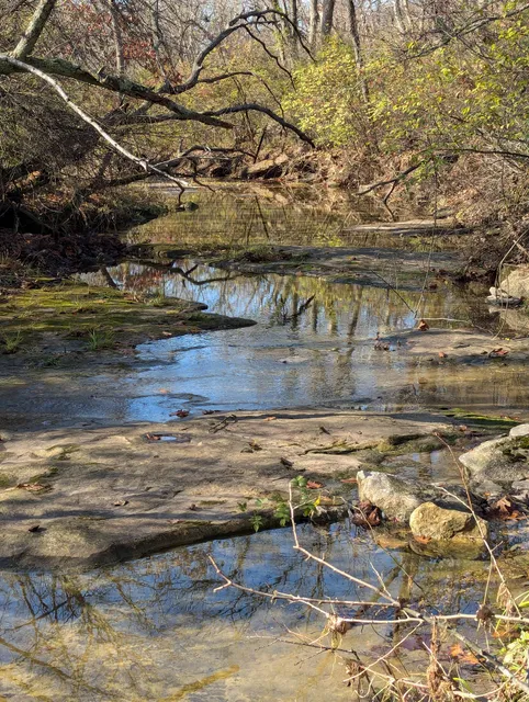 White Memorial Wildlife Area