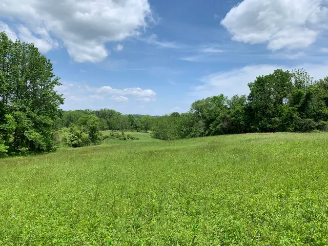 Ramanessin Section -Trail Access.Holmdel Park.