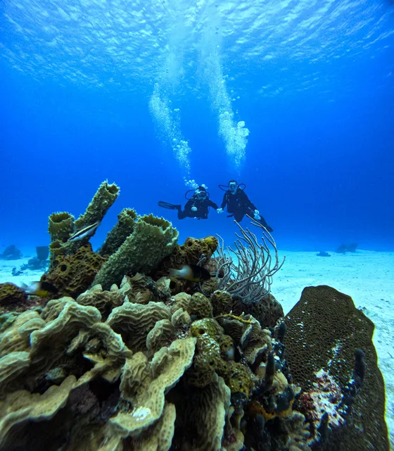 Island Divers Cozumel Scuba Dive center