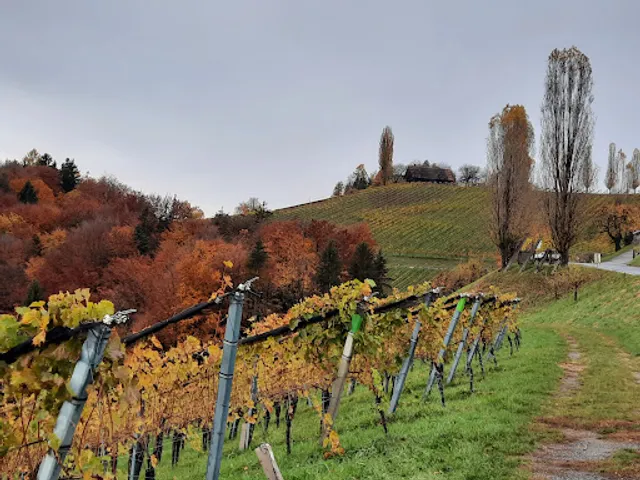 Weingut & Brothof Atschko