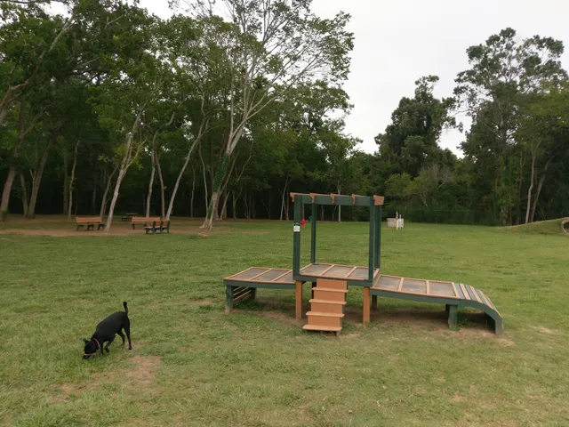 Dog Park