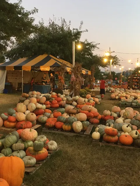The Pumpkin Patch (Cooper Trooper Foundation’s primary fundraiser)