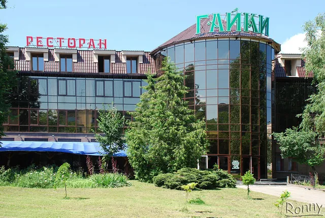 Hotel Complex Gayki