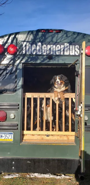 Doylestown Farmers market