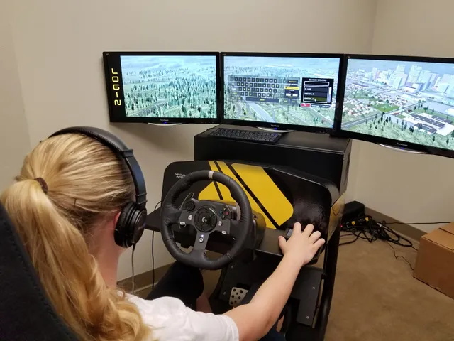 The Driving Experience - Driving Simulator