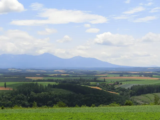 Shujitsu no Oka(Shujitsu Hill)
