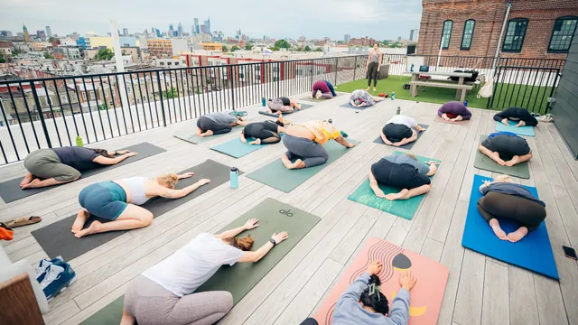 Monarch Yoga - Kensington
