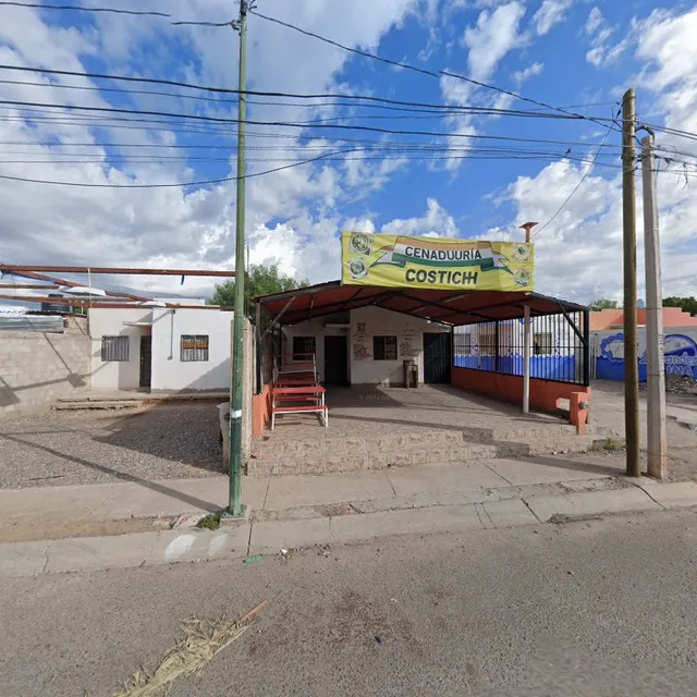 Cenaduria Costich