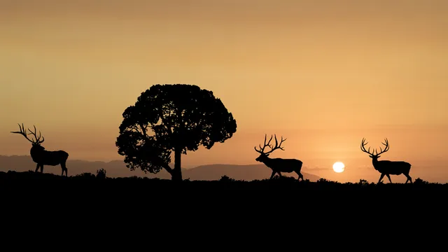 Rustic Falls Vaughn Ranch