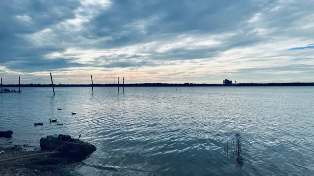 Richard Simpson Park