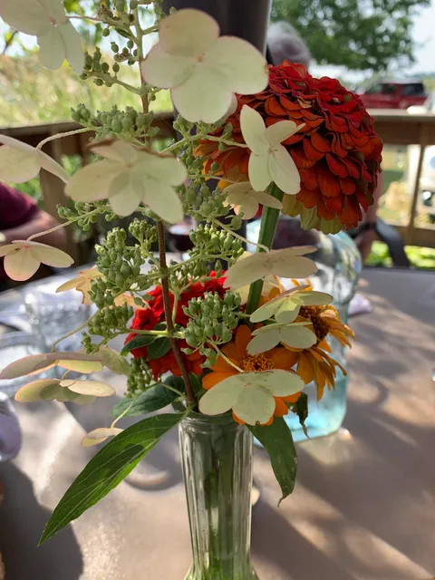 DeFeo Family Vineyards