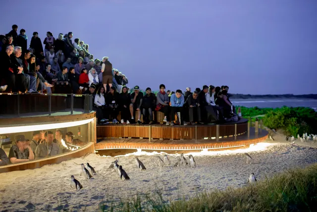 Phillip Island Nature Parks