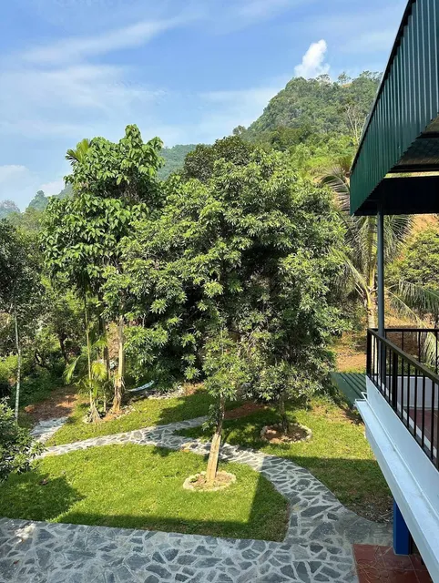 Felila Hostel & Tours