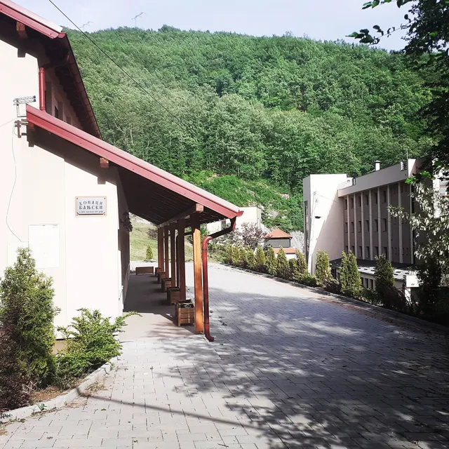 Конаци бањски