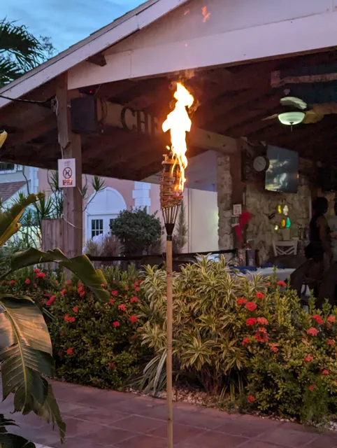 Viola's bar and grill