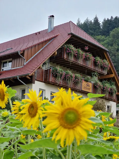 Langenhof - Ferienwohnung, Urlaub auf dem Bauernhof im Schwarzwald