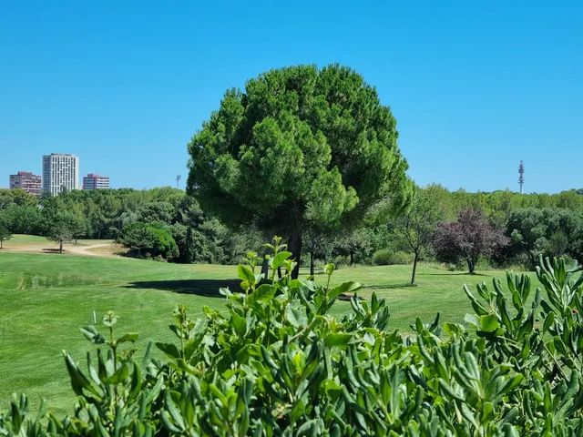 Golf Montpellier Fontcaude