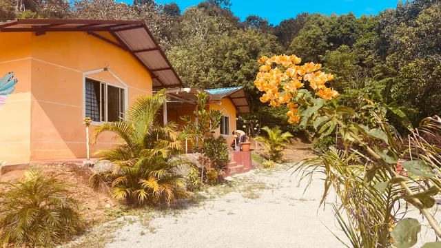 Hashtag Sakleshpura Homestay